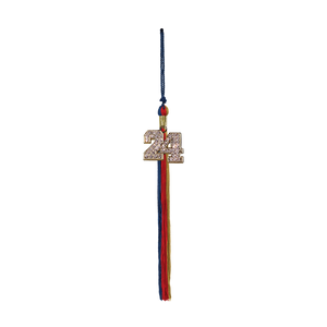 2024 Souvenir ICE Tassel Klein Collins High School